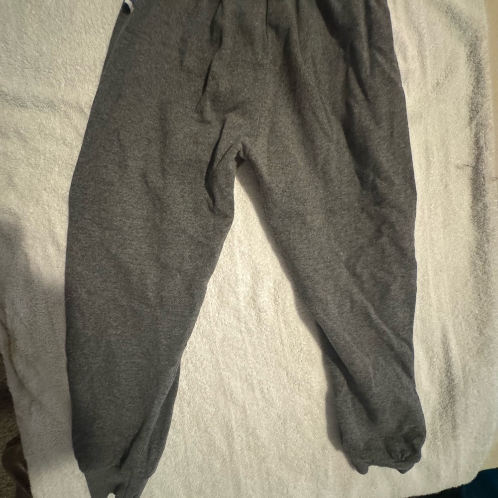 Gray Paw Patrol Jogger Sweatpants